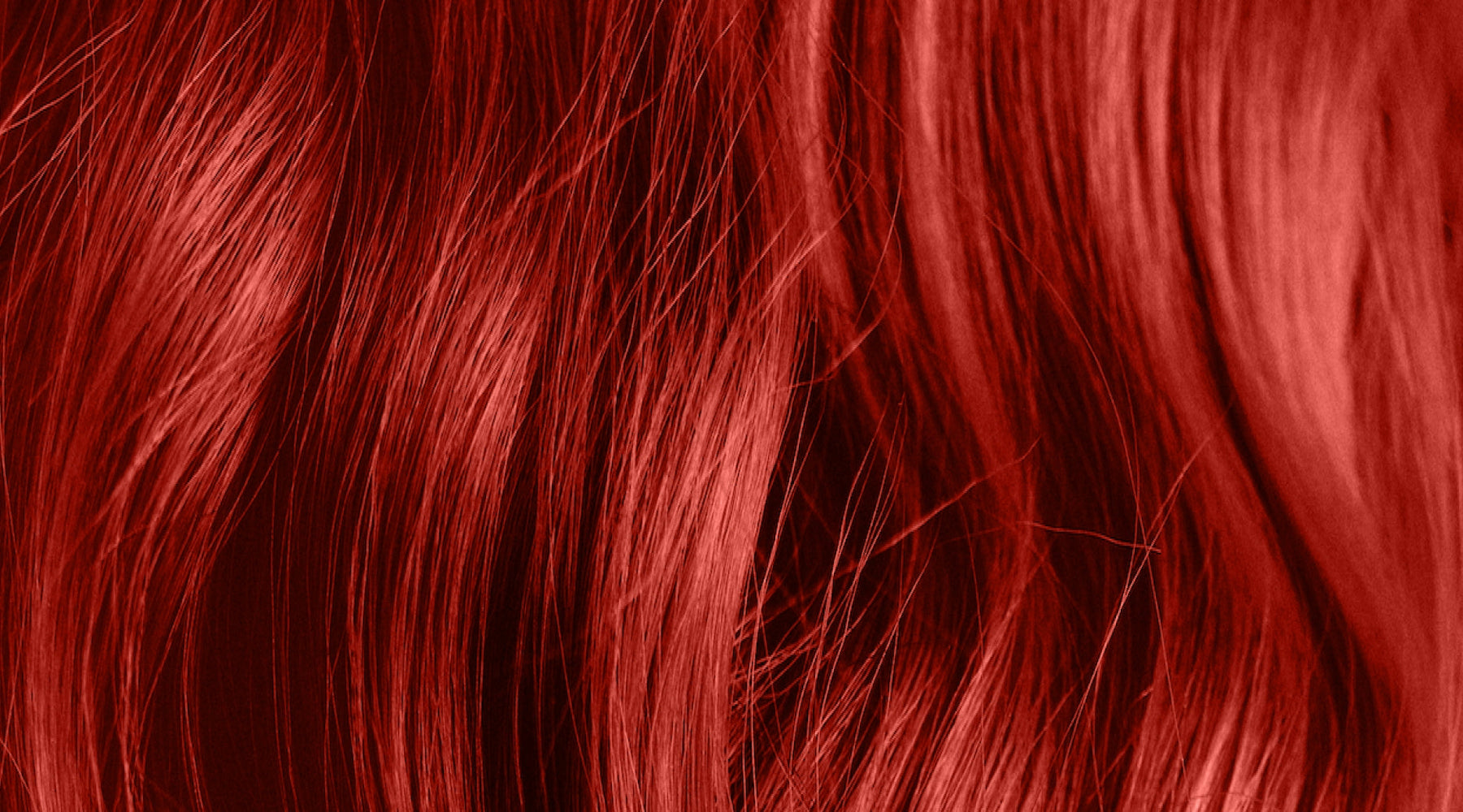 Come Together 2025: The Hair Industry’s Most Inspiring Charity Event Is Back!